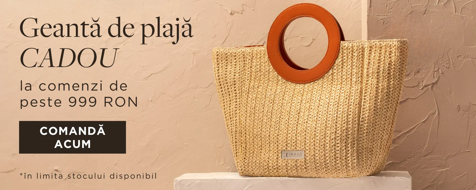 summer tote 1